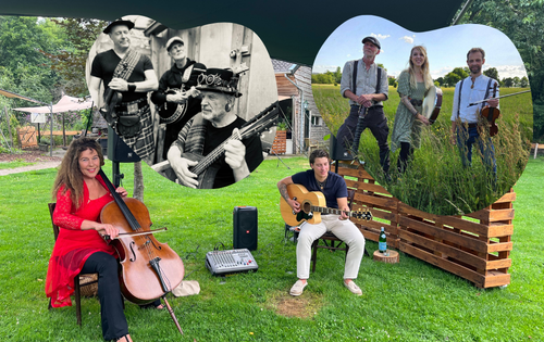 collage van 3 bandjes voor de vrijdag avonden